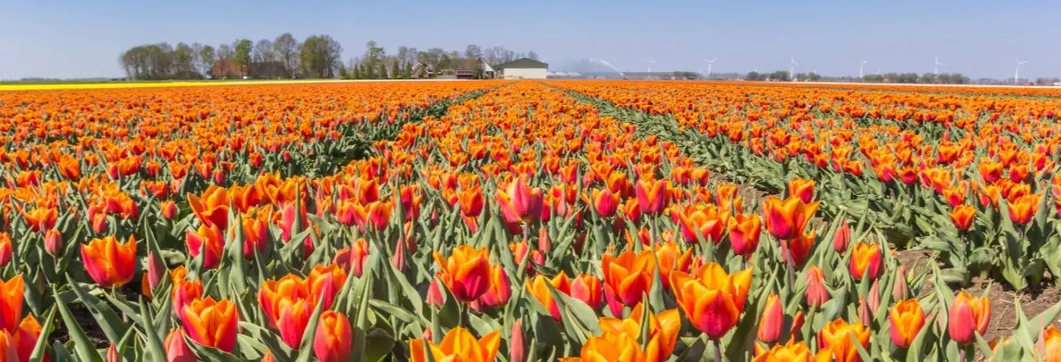 AmaWaterways Douro River cruise ship sailing through Portugal’s Douro Valley